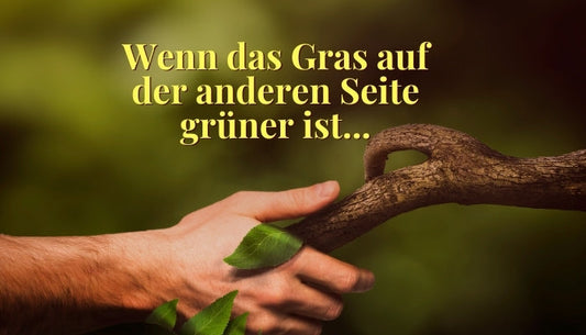 Der desorganisierte Bindungstyp und das Gras ist grüner Syndrom